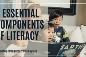 5 essential components of literacy